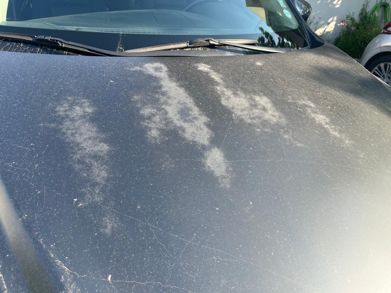 Cómo Proteger tu Auto del Sol y la Lluvia en Chile: Consejos para Cada Estación